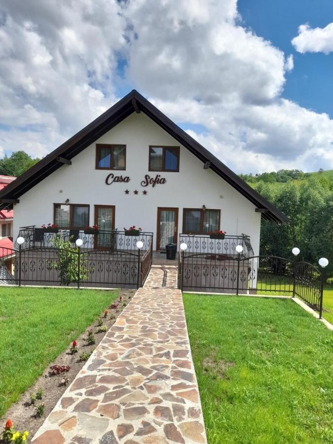 Casa Sofia Apartment Baltatesti Exterior foto