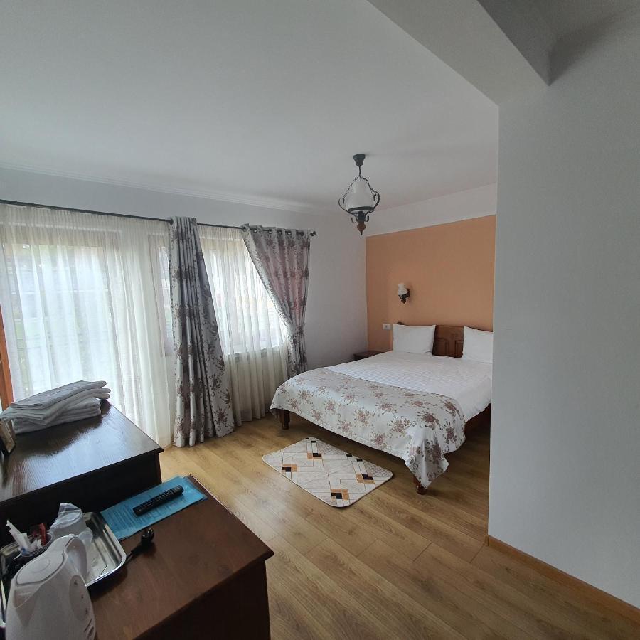 Casa Sofia Apartment Baltatesti Exterior foto